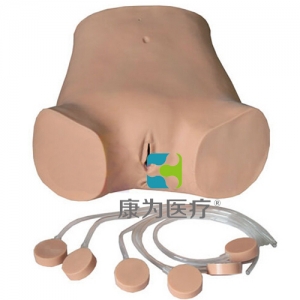 “康為醫(yī)療”高級電子腹腔穿刺訓(xùn)練標準化模擬病人,腹腔穿刺訓(xùn)練模型