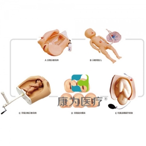 “康為醫(yī)療”高級腹部觸診、分娩機(jī)轉(zhuǎn)綜合模型