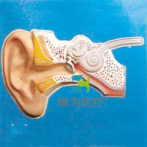 “康為醫(yī)療”耳聽覺調節(jié)模型（聲控）
