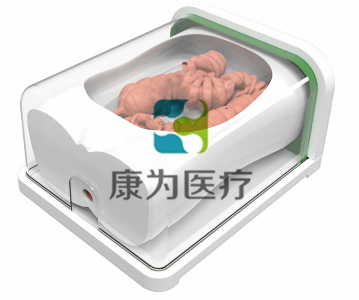 腸鏡手術(shù)訓練模型